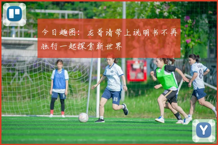 今日趣图：龙哥请带上说明书不再独行一起探索新世界