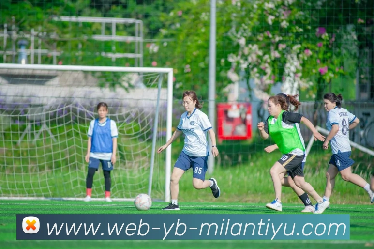 米兰体育APP 封面图