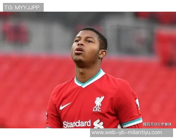 鲁杰里每日努力弥补不足期待为球队贡献力量